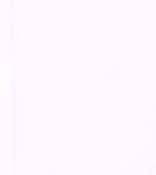 ELEVENTY_WHITE